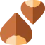 Лесной орех иконка 64x64