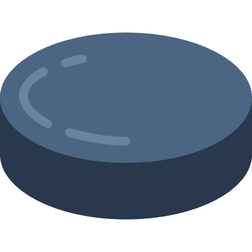 Puck icon