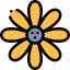 Flower icon 64x64