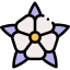 Flower icon 64x64