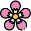 Flower icon 64x64