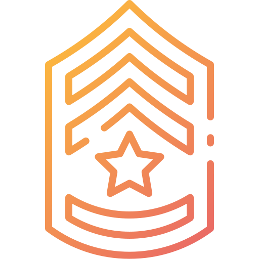 Chevron icon