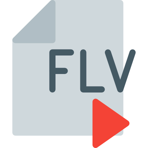 Flv icon