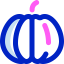 Pumpkin icon 64x64