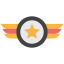 Insignia icon 64x64