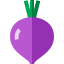 Beet icon 64x64