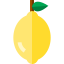 Lemon icon 64x64