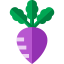 Turnip Ikona 64x64