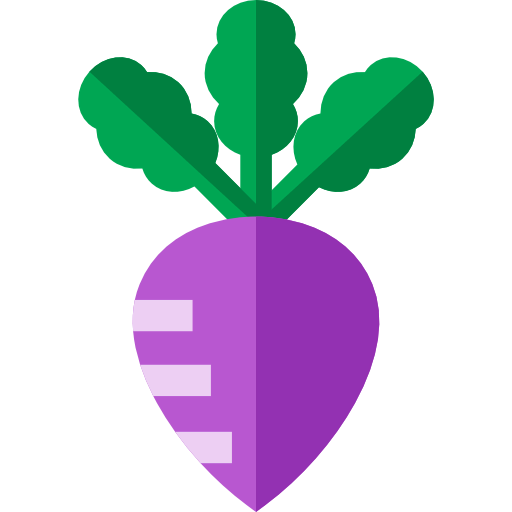 Turnip icon