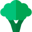 Broccoli icon 64x64