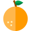 Orange icon 64x64