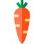 Carrot icon 64x64