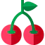 Cherry icon 64x64