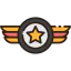 Insignia icon 64x64