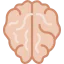 Brain icon 64x64