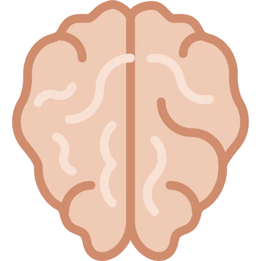 Brain icon