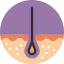 Epidermis icon 64x64