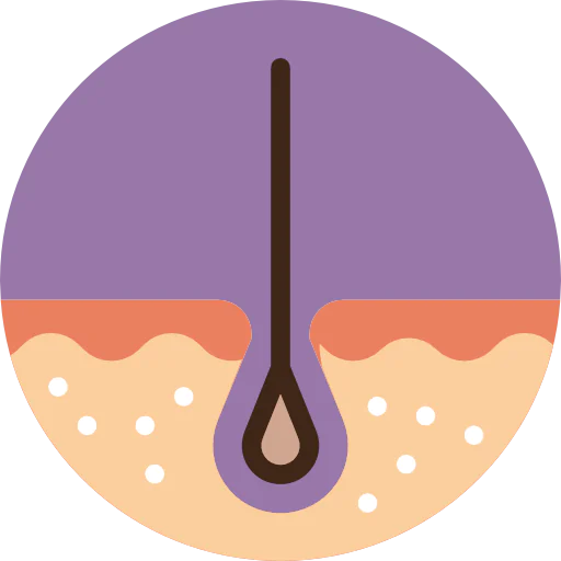 Epidermis icon