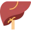 Liver Symbol 64x64