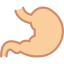 Stomach icon 64x64