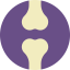 Femur icon 64x64