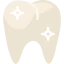 Molar icon 64x64