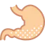 Stomach icon 64x64