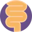 Intestines icon 64x64
