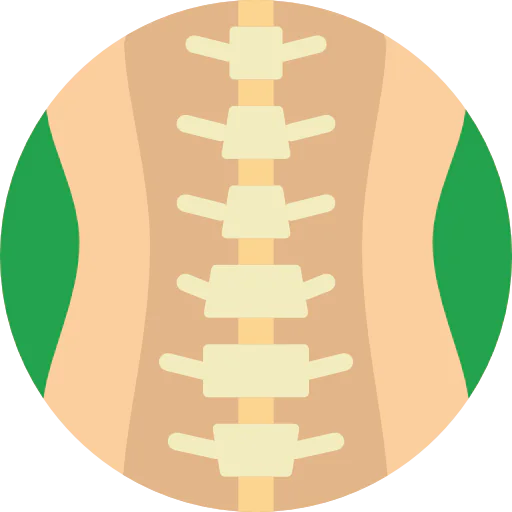 Spinal column icon