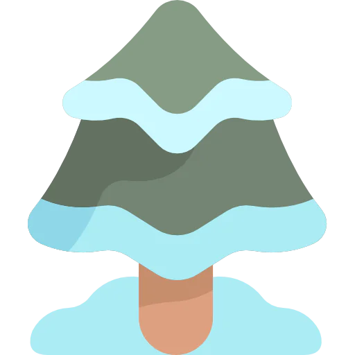 Pine tree 상