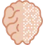Brain icon 64x64