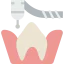 Molar icon 64x64