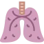 Lungs icon 64x64
