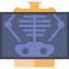 X ray icon 64x64