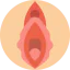 Vagina icon 64x64