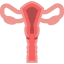 Uterus icon 64x64