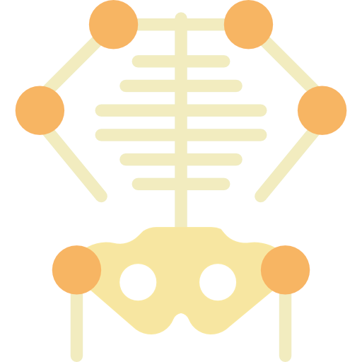 Skeleton icon