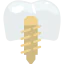 Имплантаты иконка 64x64