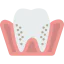 Molar ícono 64x64