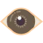 Iris icon 64x64