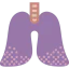 Lungs icon 64x64