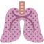 Lungs icon 64x64