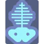 X ray icon 64x64
