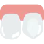 Teeth icon 64x64