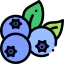 Blueberries icon 64x64