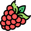 Raspberry 상 64x64