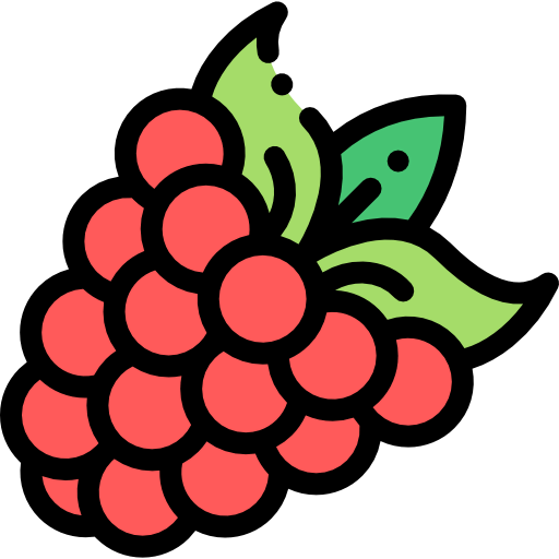 Raspberry icon