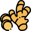 Ginger icon 64x64