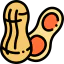 Peanut icon 64x64
