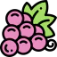Grapes icon 64x64